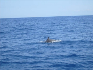  Encuentros fantásticos 